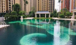 石家庄定州最新爆料电话,揭秘石家庄最新动态，一键拨打热线获取一手信息